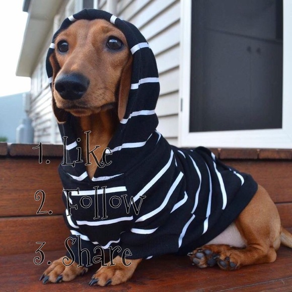 First FG💝/ Follow 🆕Blues - Picture 2 of 4